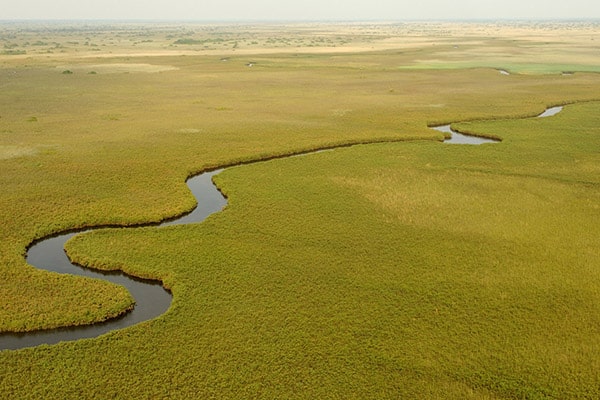 Botswana safari. Ariel view of African landscape and river.