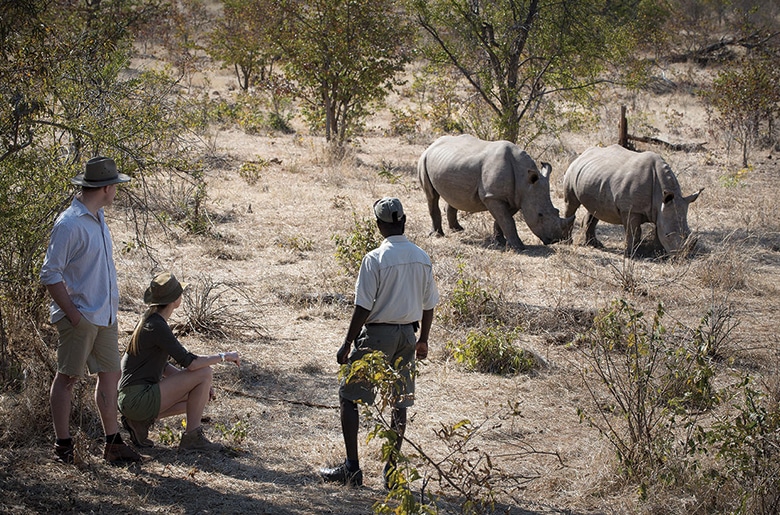 Rhino tracking in the Mosi-Oa-Tunya National Park