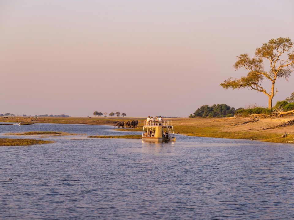 Botswana Boat Safari