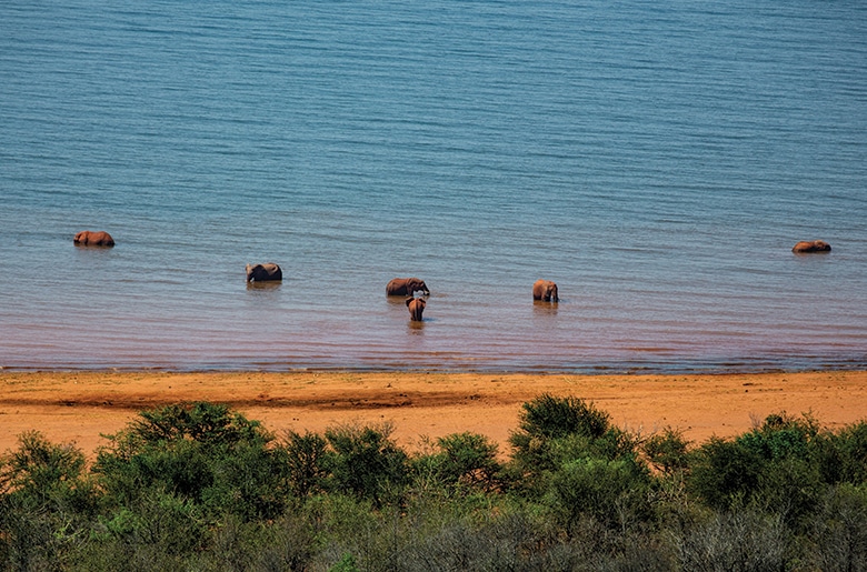 View of elephants in Lake Kariba from Bumi Hills
