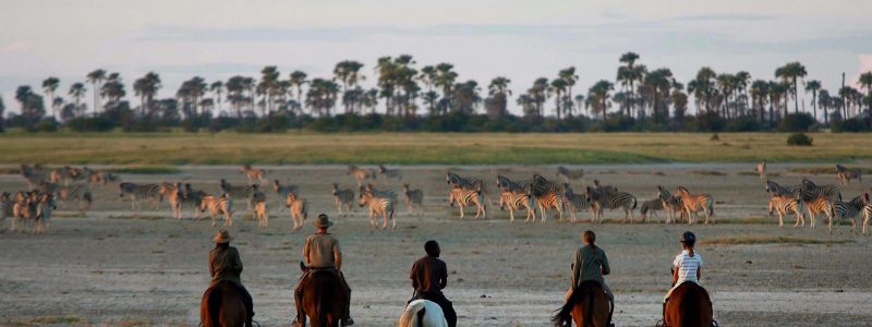 horseback safari botswana