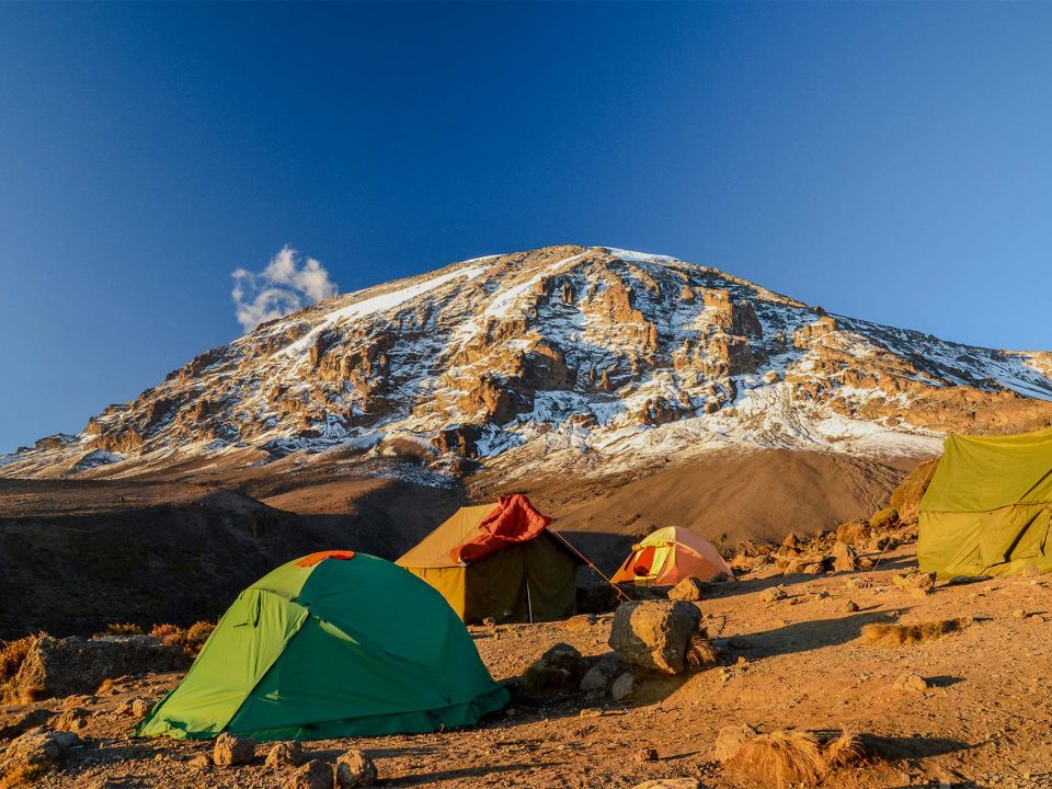 kilimanjaro safaris