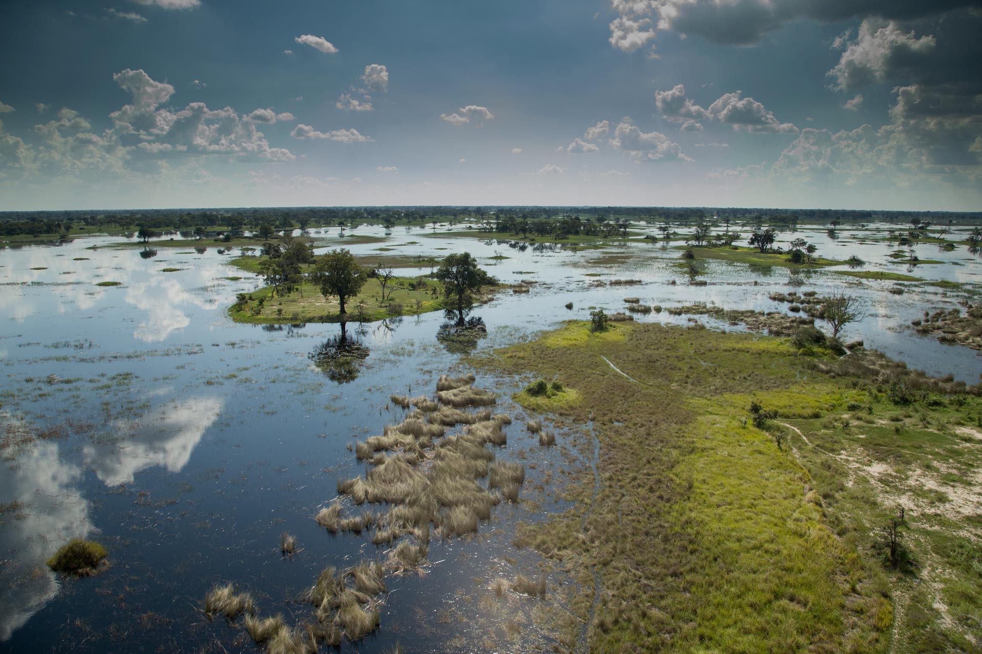 okavango delta safari