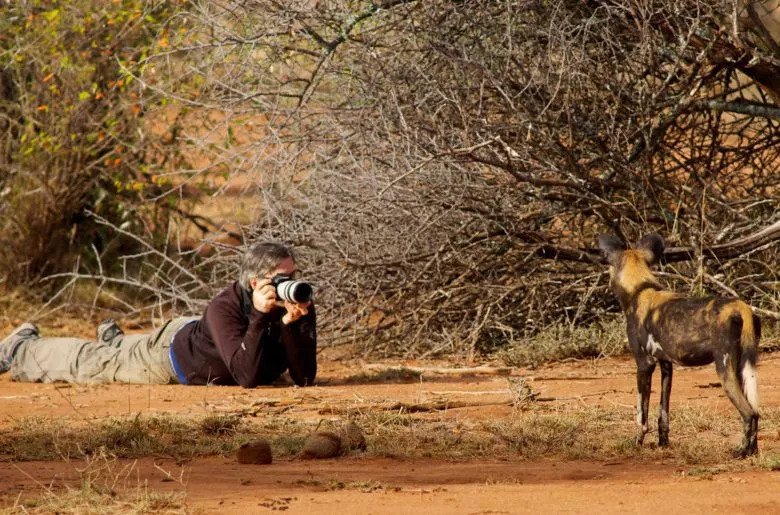 photographing wild dogs kenya