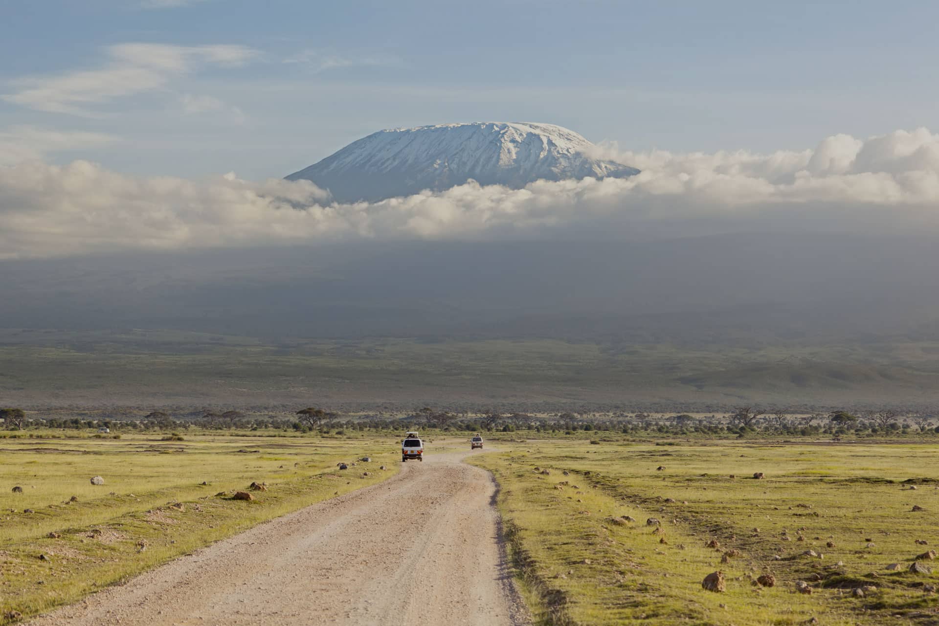 kilimanjaro