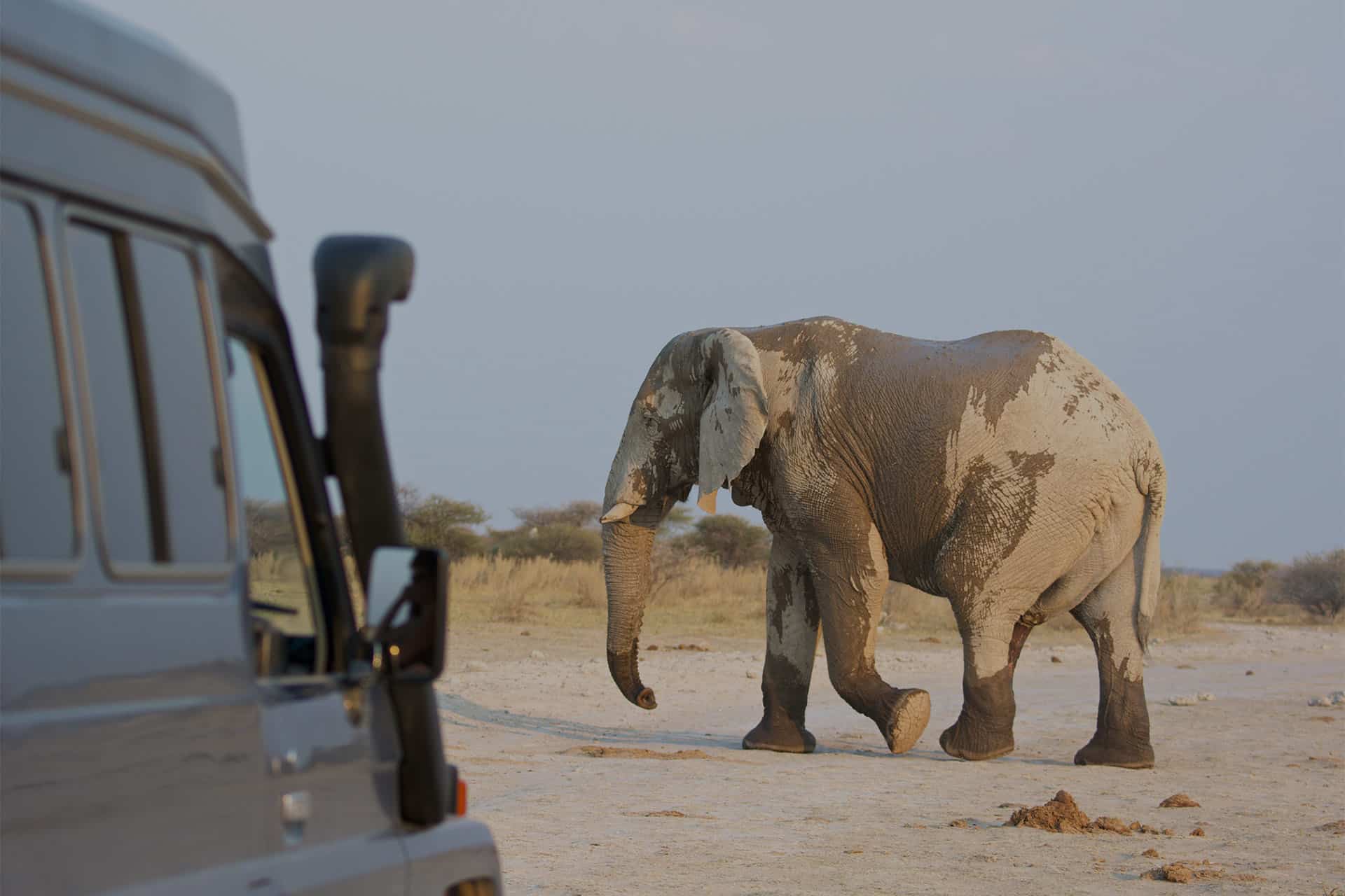 makgadikgadi pans