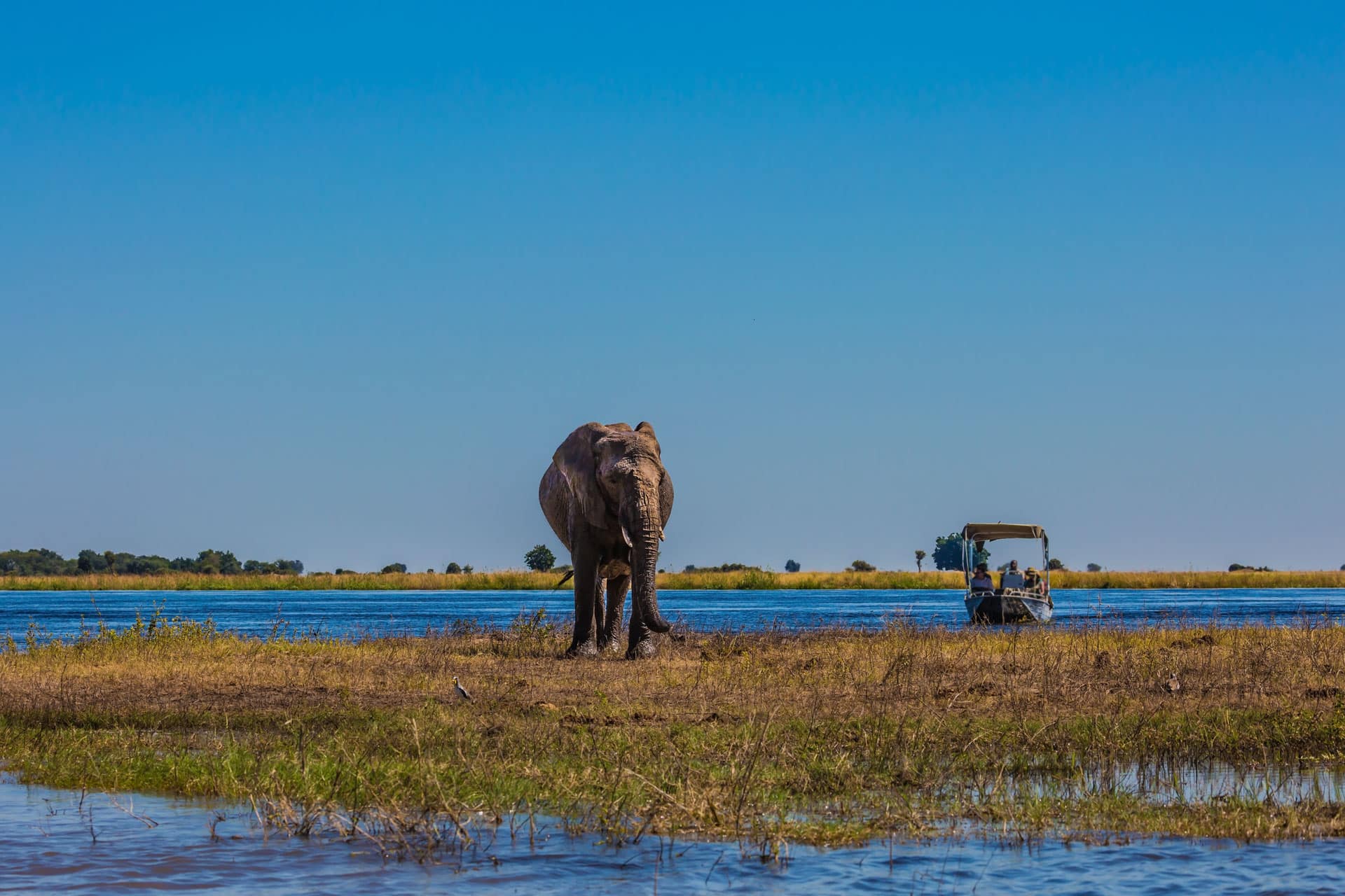 okavango