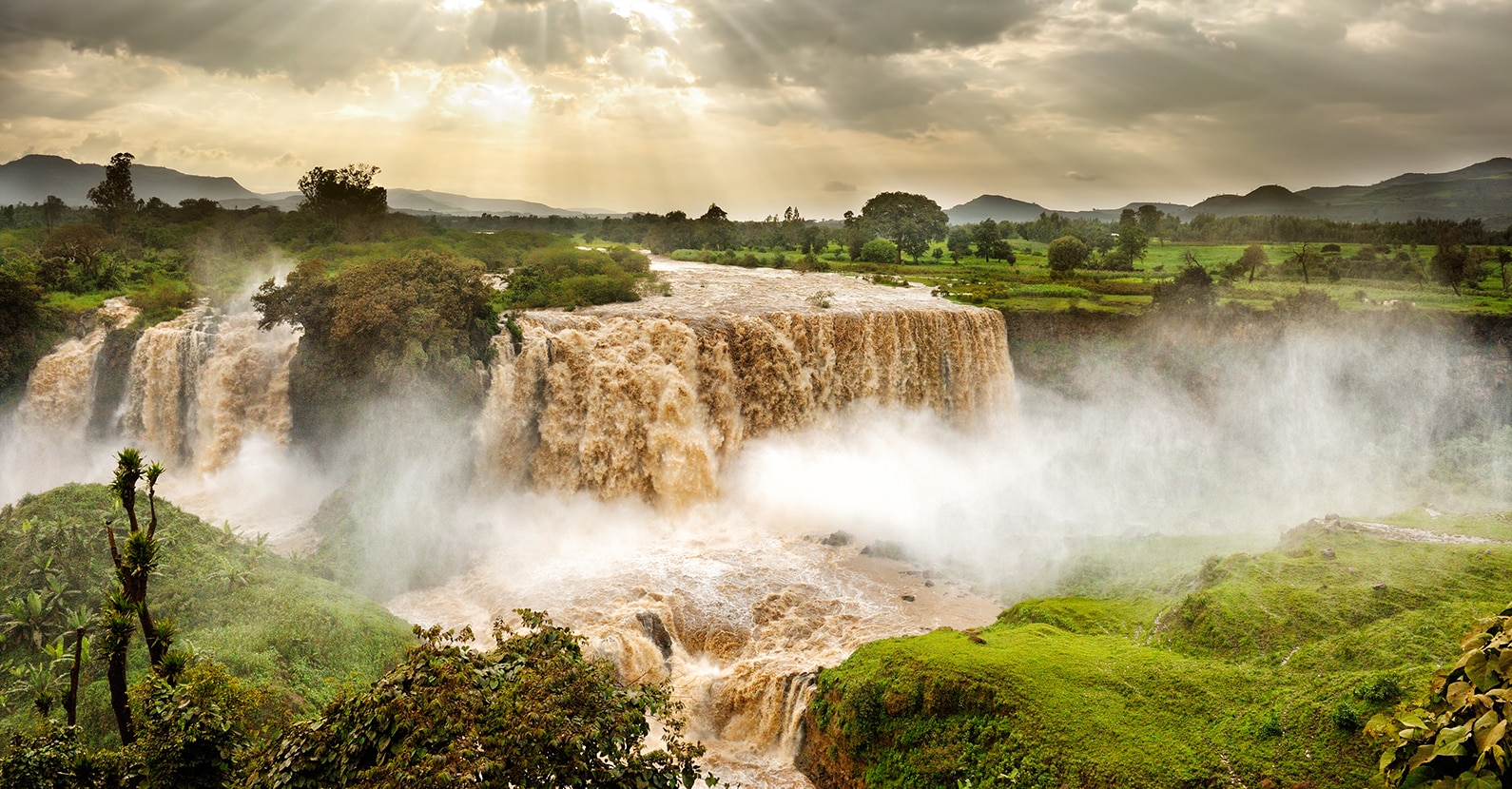 The crashing waters of the Blue Nile Falls