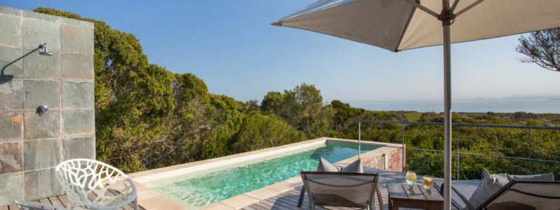 grootbos-accommodation-forest-suite-pool-exterior-01