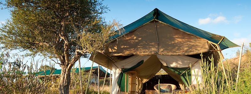 Laikipia_Wilderness_Camp_Tent Outside Small