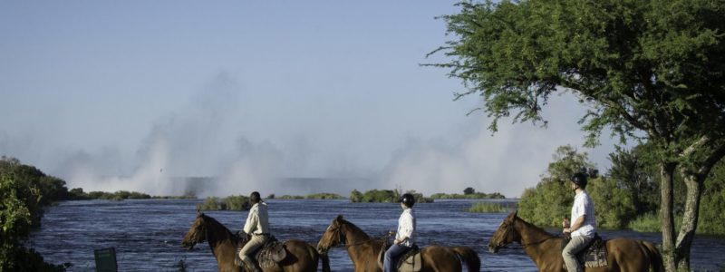 A horseback safari alongside the Zambezi River