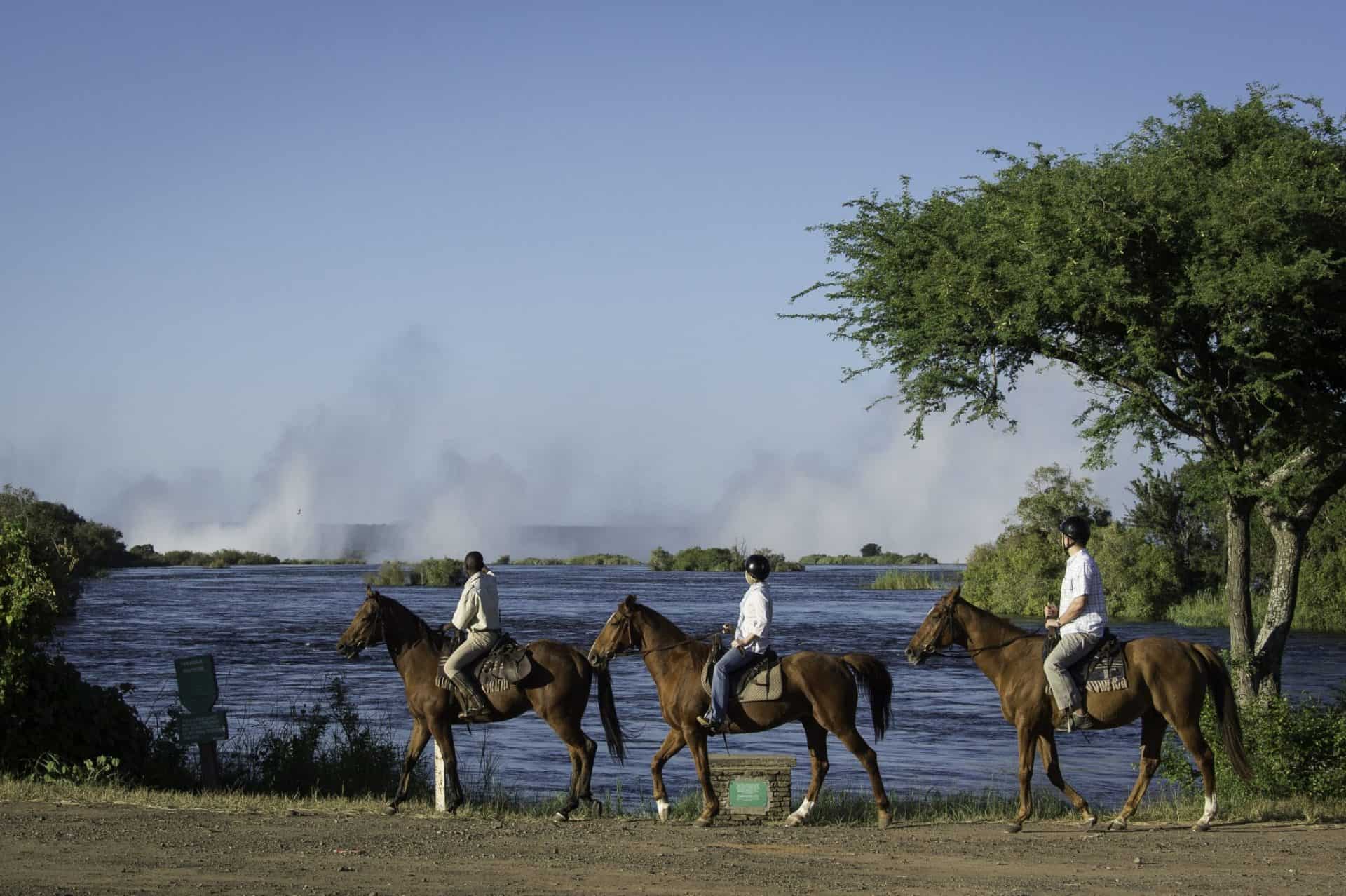 A horseback ride along the banks of the Zambezi River close to Victoria Falls