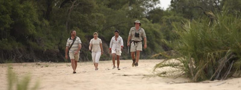 activities-luxury-walking-safari