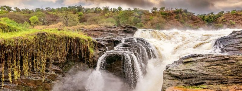 africaugandamurchison-falls-national-parkadobestock118833222