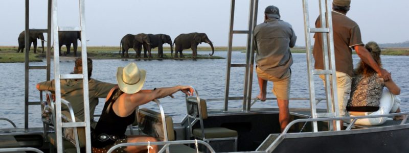 Zambezi Queen är den nya flodbåten som kommer att börja trafikera Chobe floden som ligger mellan Namibia och Botswana.
Man tar ut i Zambezi Queens mindre båtar på safari, för att snabbt komma riktigt närma djuren, och elefanter finns i tusentals i Chobe.
FOTO: TORBJÖRN SELANDER