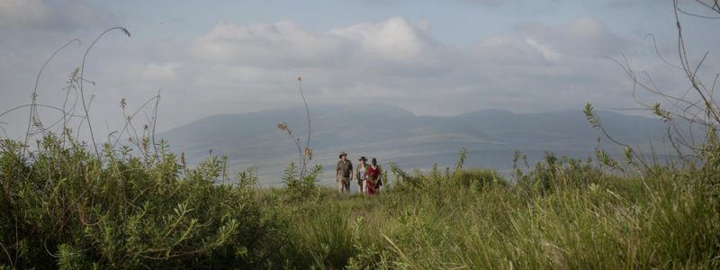 highlands-ngorongoro-guests-walking-eliza-deacon-3-hr2