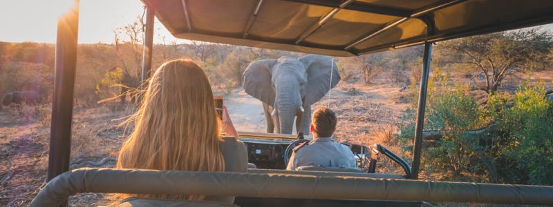 jabulani-experience-elephant-and-safari-vehicle
