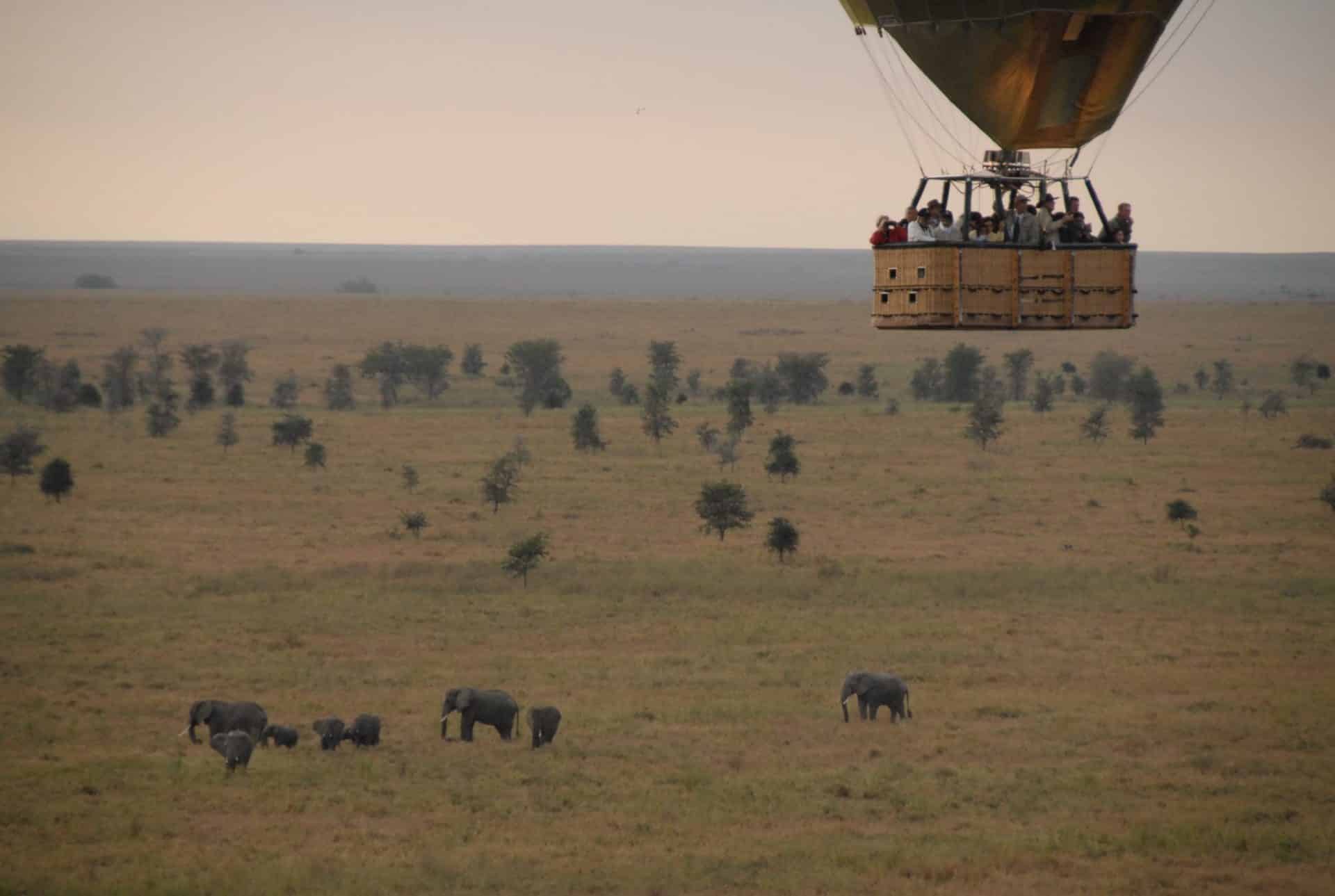 A hot air balloon soars over the savannah, observing a herd of elephants below. Ker&Downey Africa offers the best safaris in africa to see the Big 5.