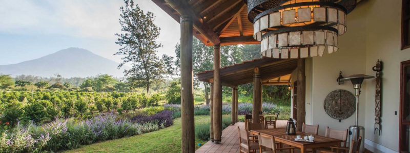 legendary-lodge-garden-cottage-terrace