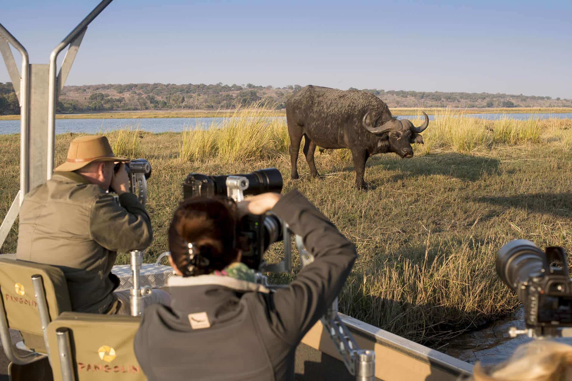 Photographers sighting a buffalo