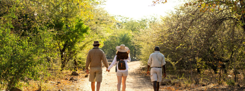 zambezi-queen-sustainable-safari-experiences