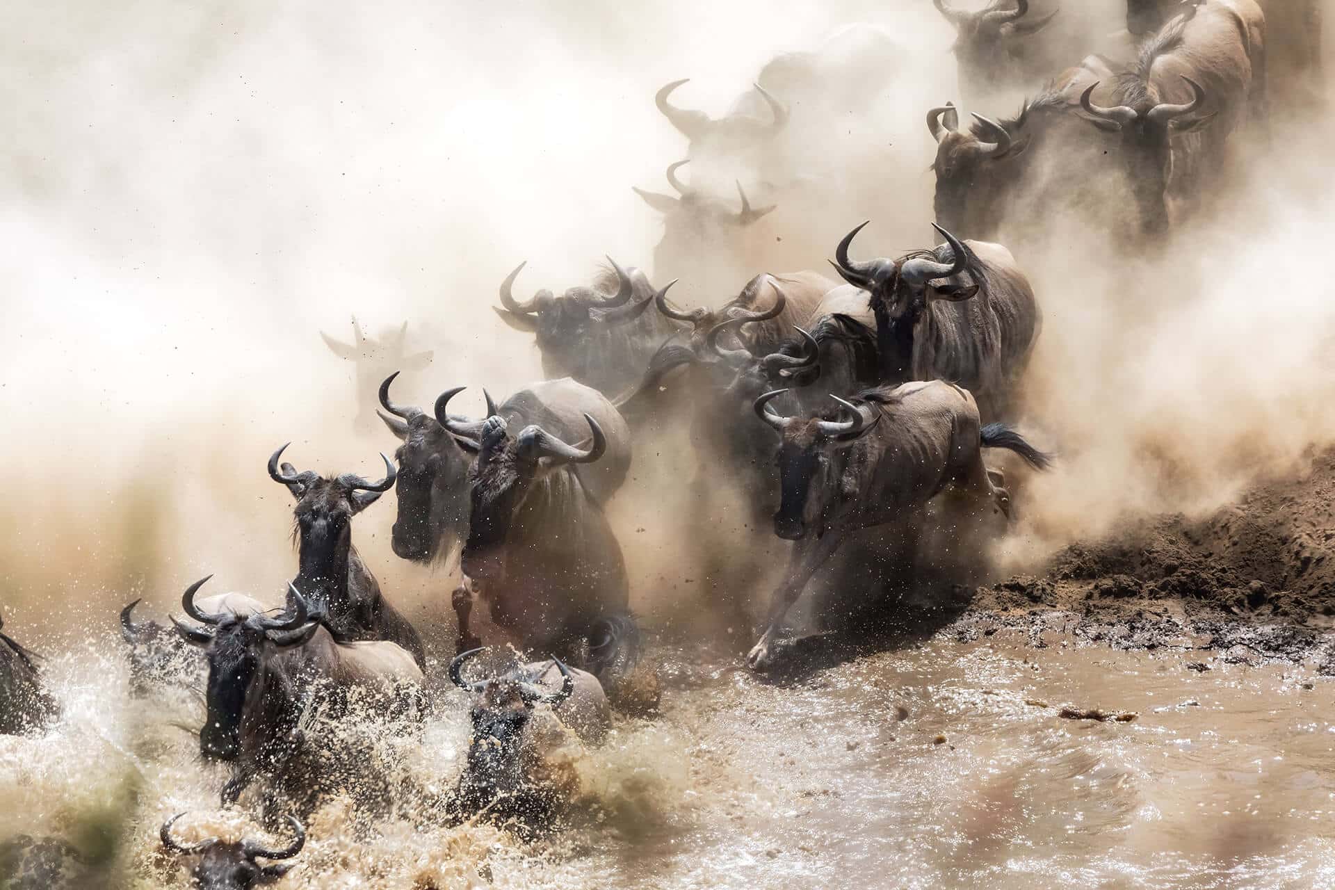 The Great Wildebeest migration in Tanzania and Kenya