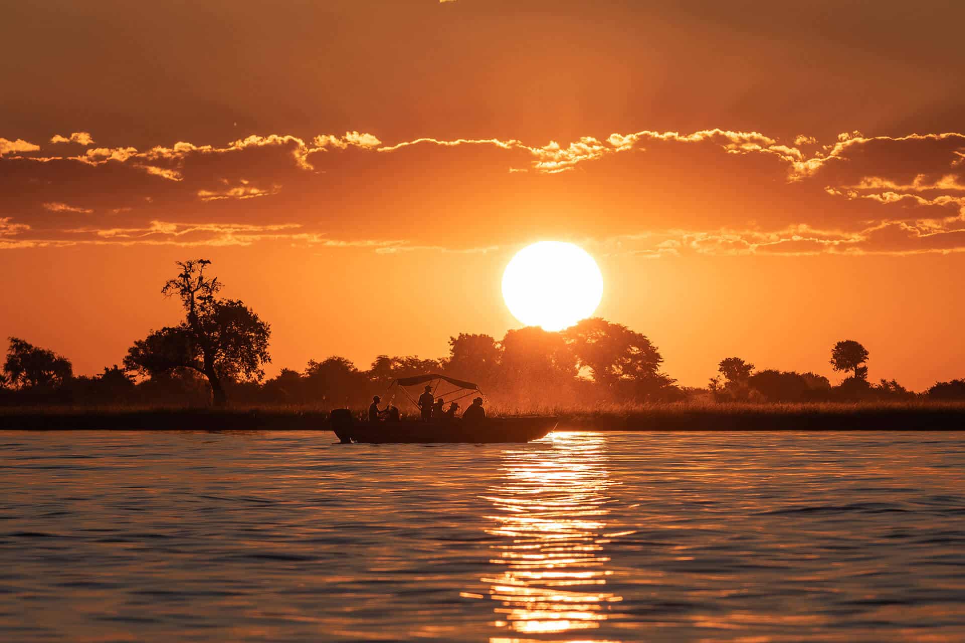 African safari boat trip over Zambia river. People on looking a golden orange sunset illuminating trees on the bank.