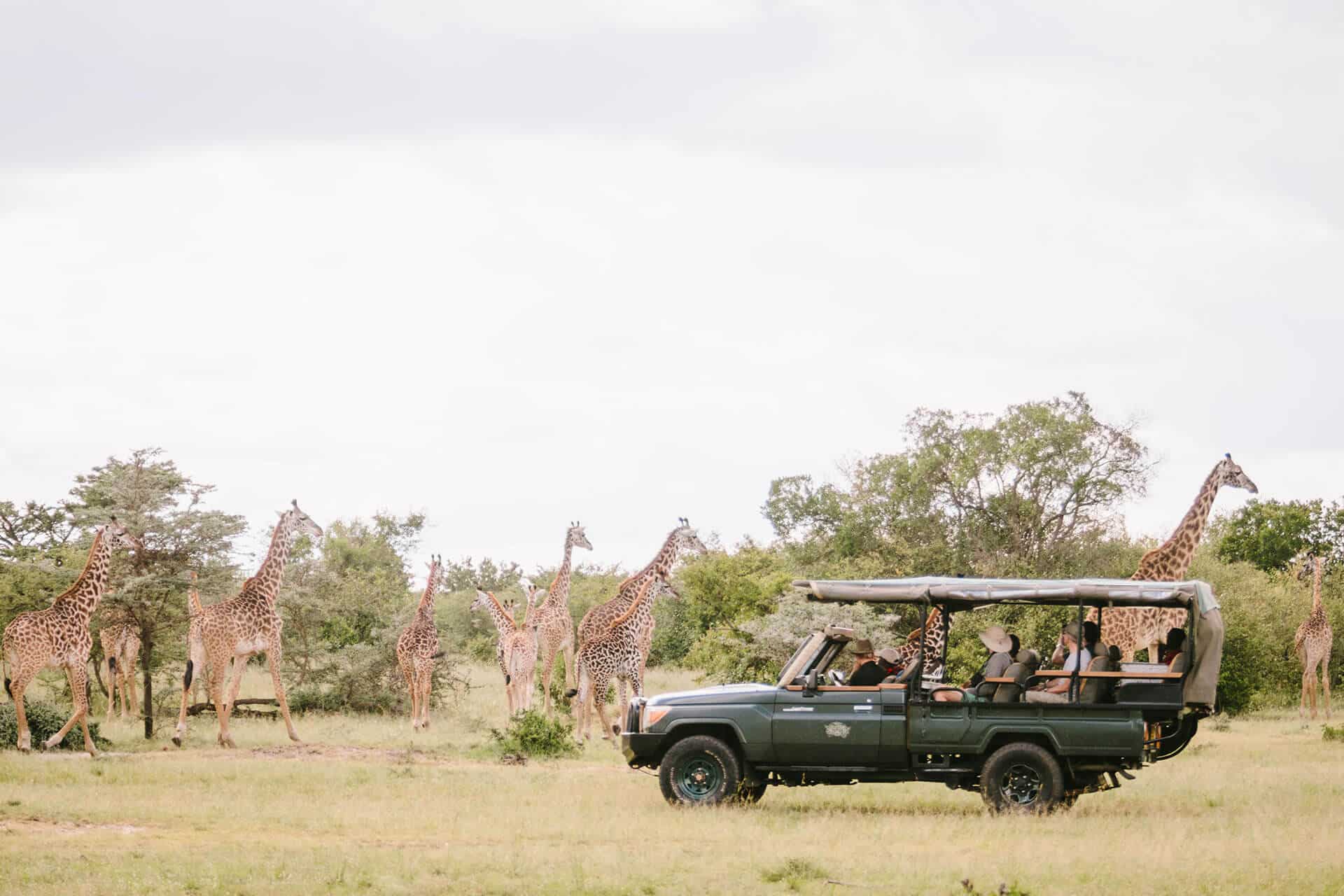 Imagine ticking off seeing the Big 5 animals during your Christmas in East Africa safari