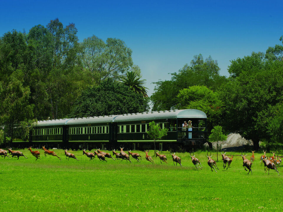 Rovos Rail and River Slow Train Travel Safari