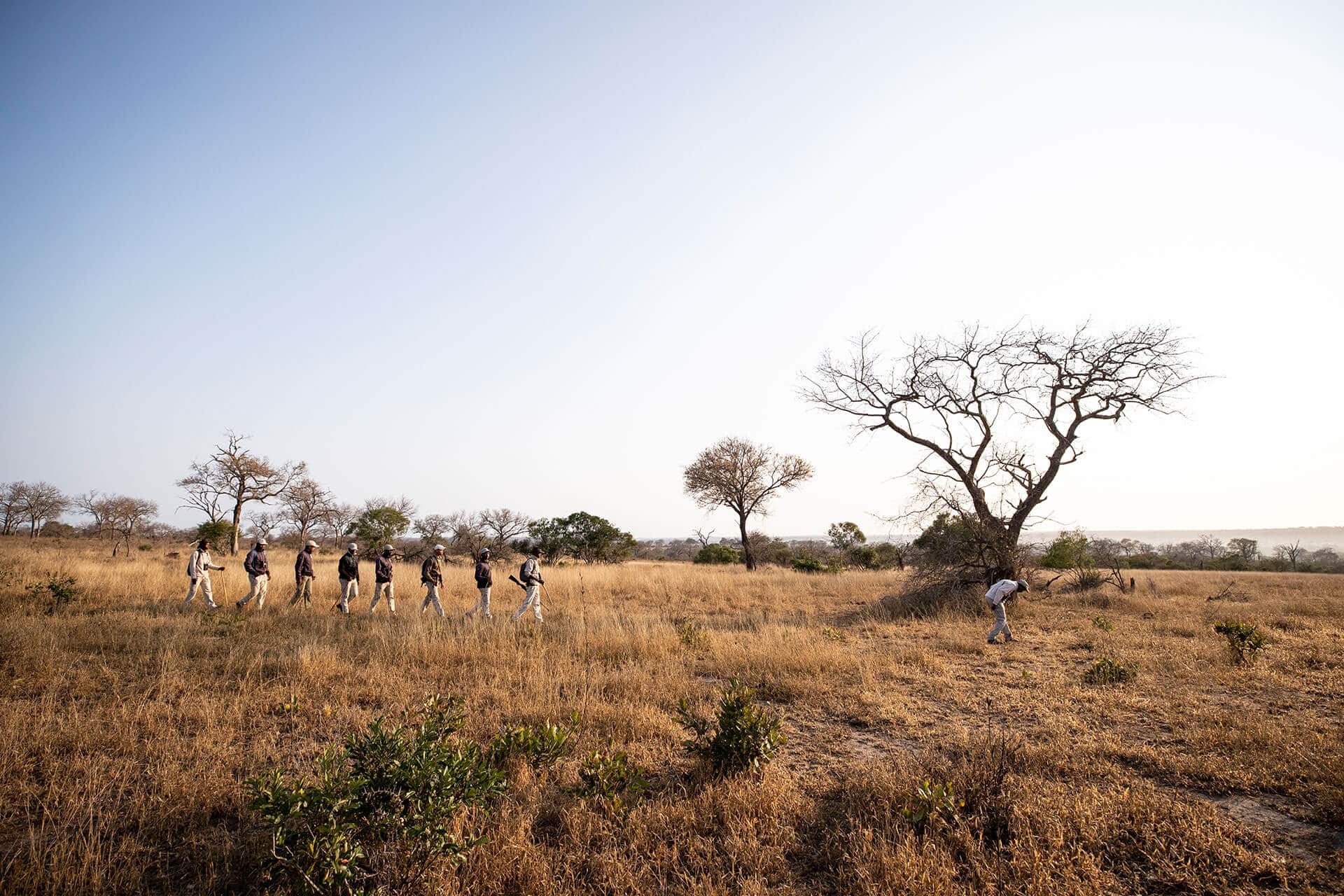 Tracker Academy at Londolozi, suggested for bucket list travel