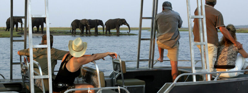 Zambezi Queen River Safari