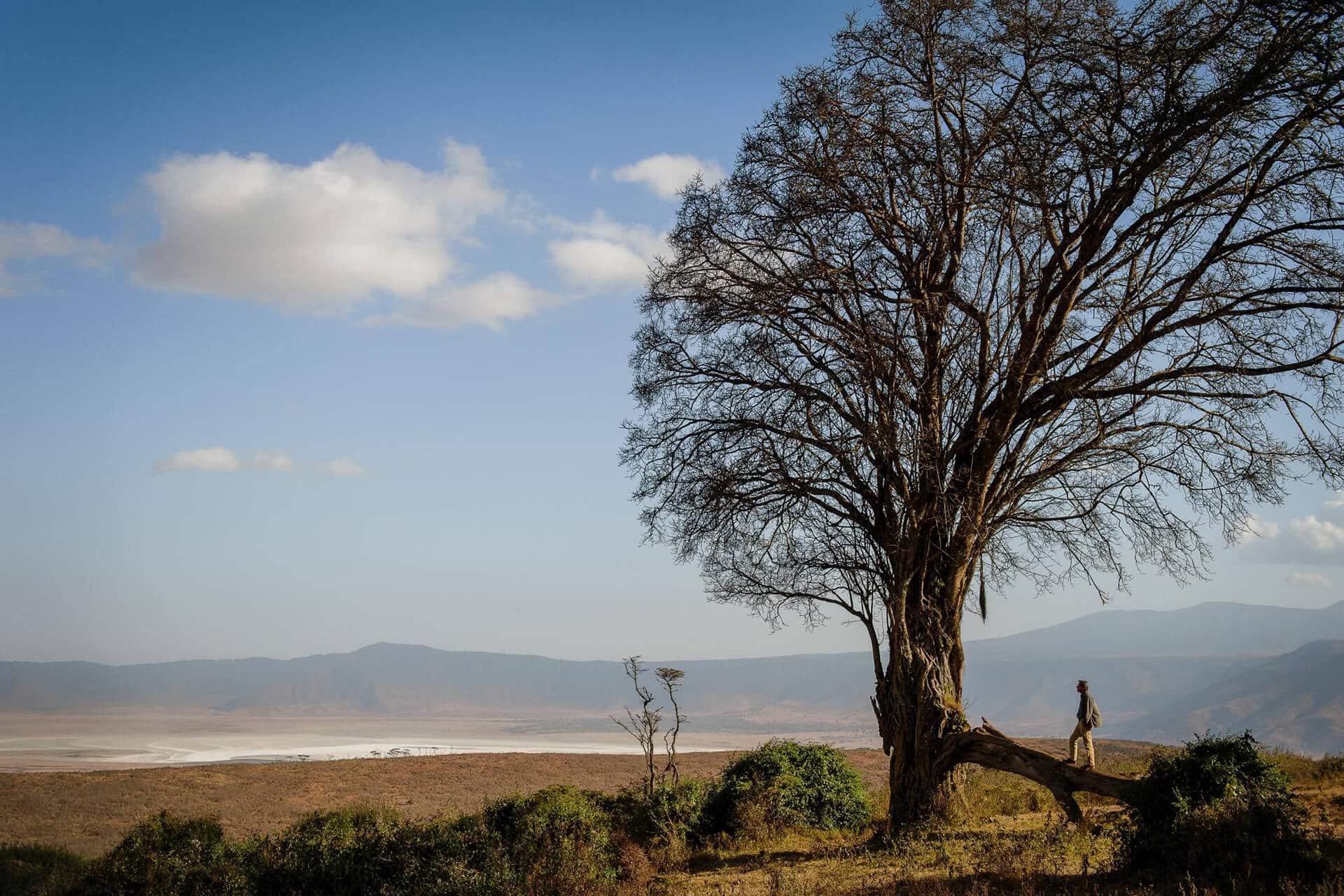 Man overlooking the Ngorongoro Crater from Entamanu Ngorongoro