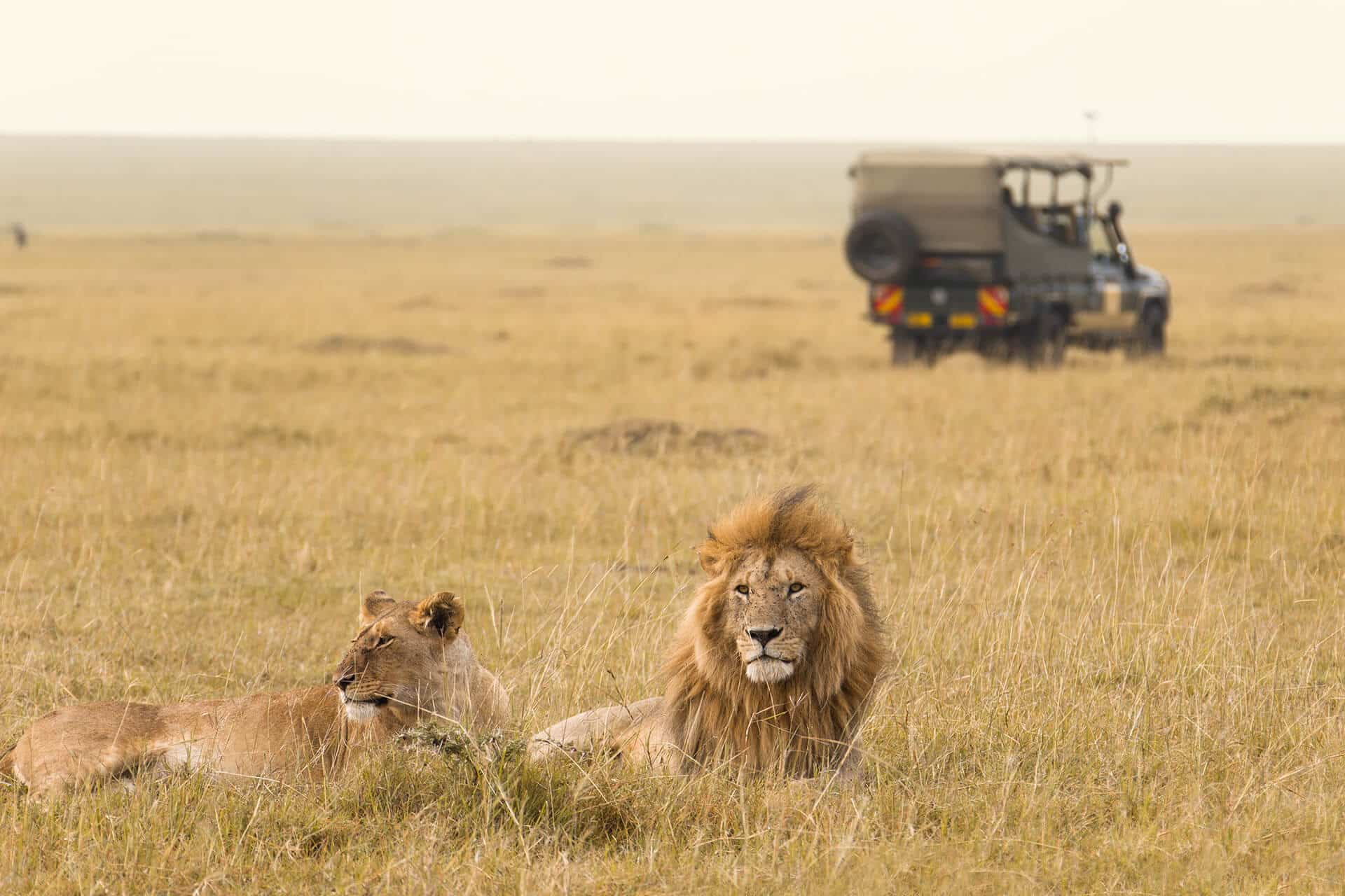 private safaris