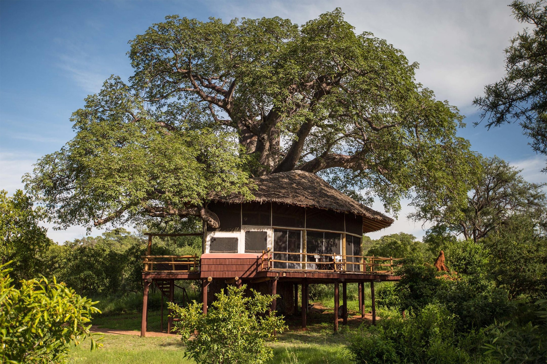 Elewana, one of the top lodge groups to accommodate you while on a Tanzania safari