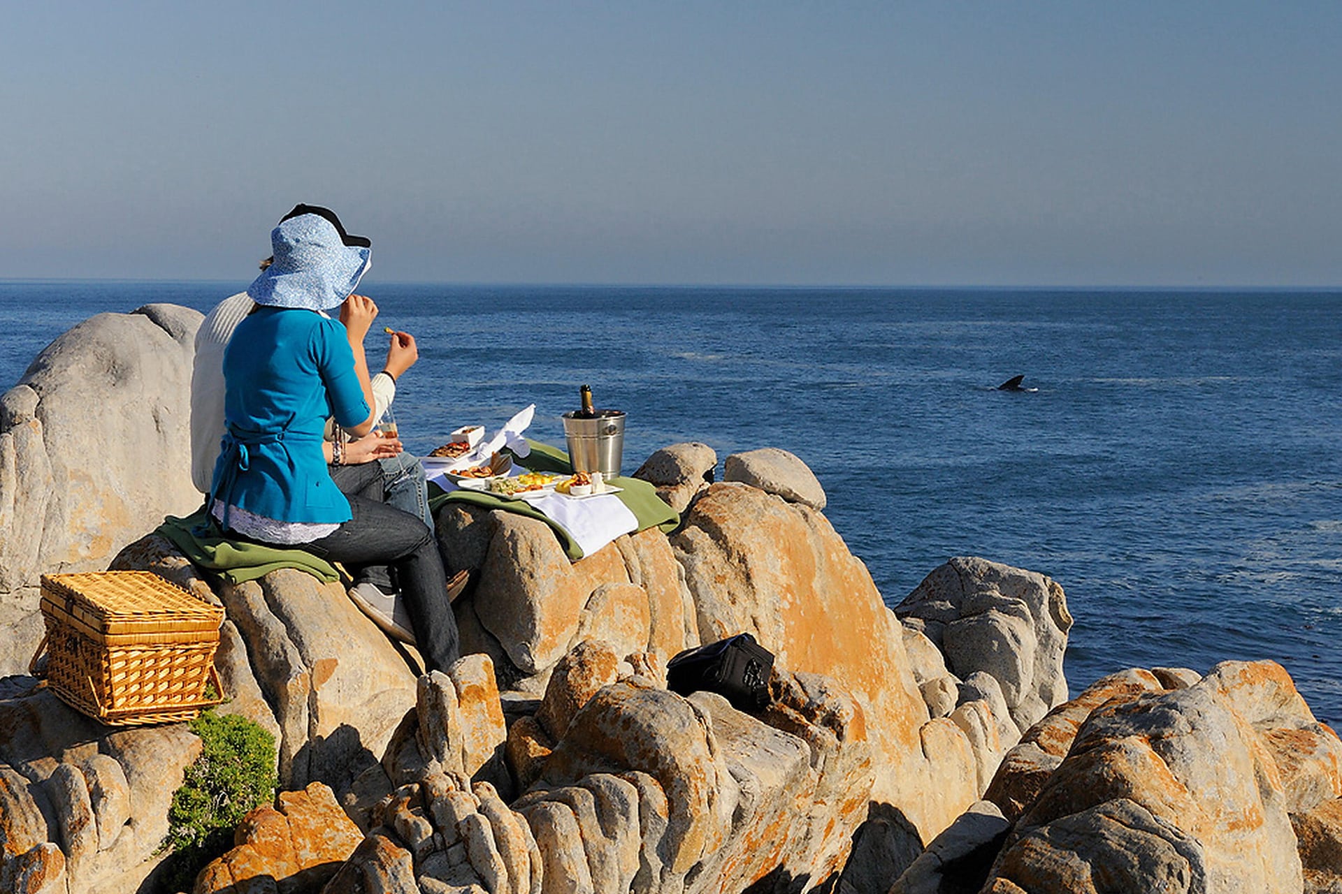 Whale watching while staying at Grootbos Forest Lodge