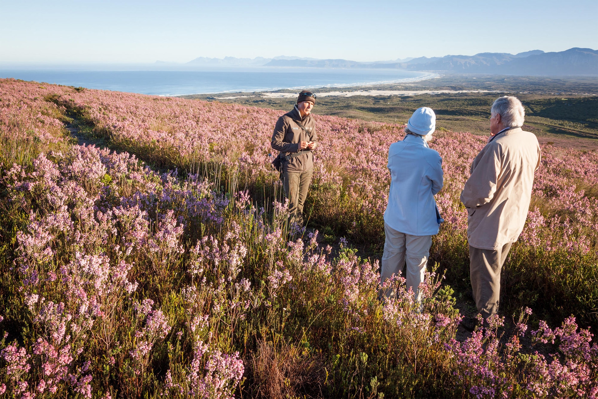 Guided walking safari at Grootbos Forest Lodge