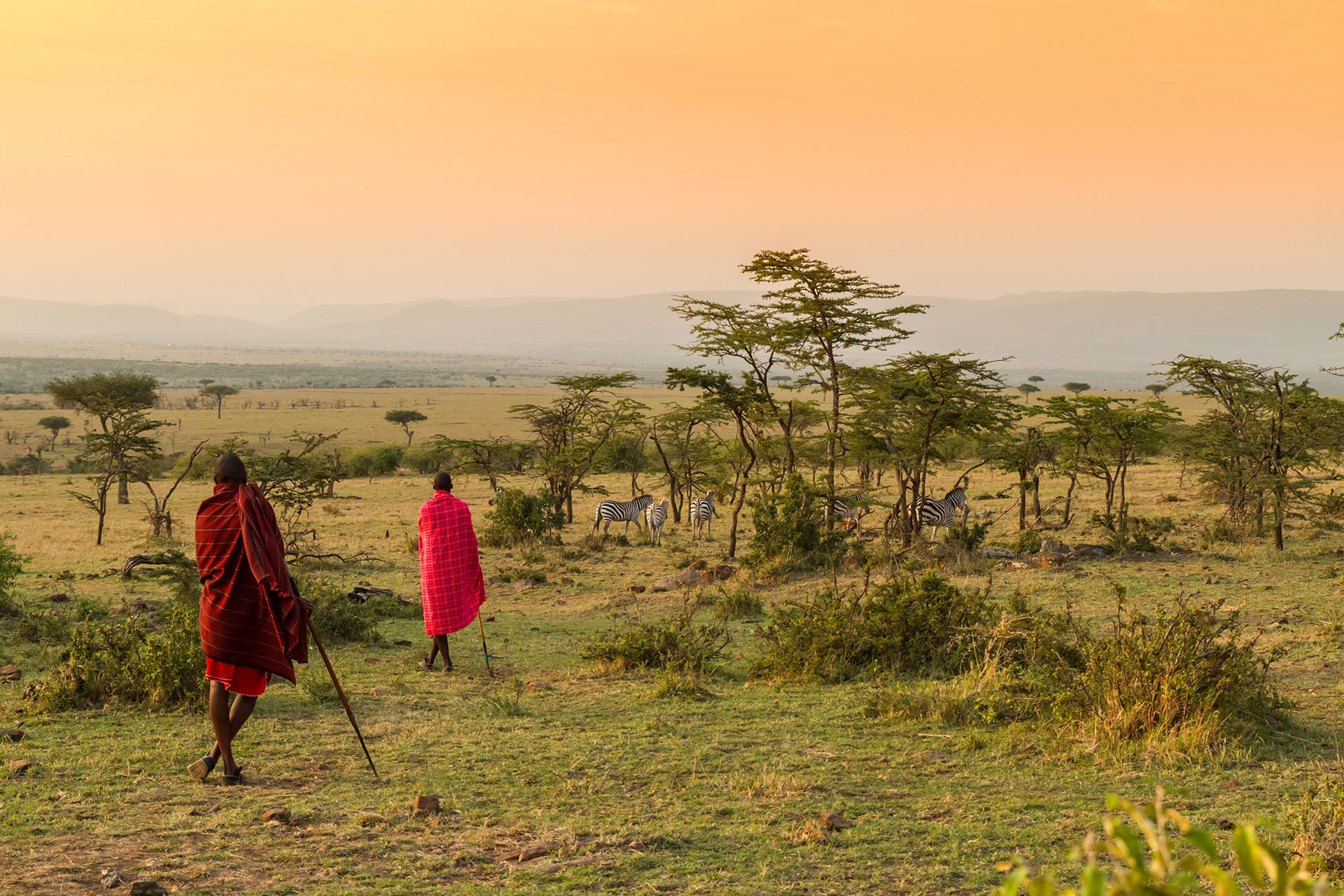 Maasai warriors walking in the Mara which is included in our journal for masai mara vs serengeti