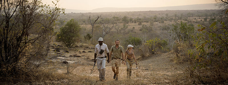 Private Family Safari Walking