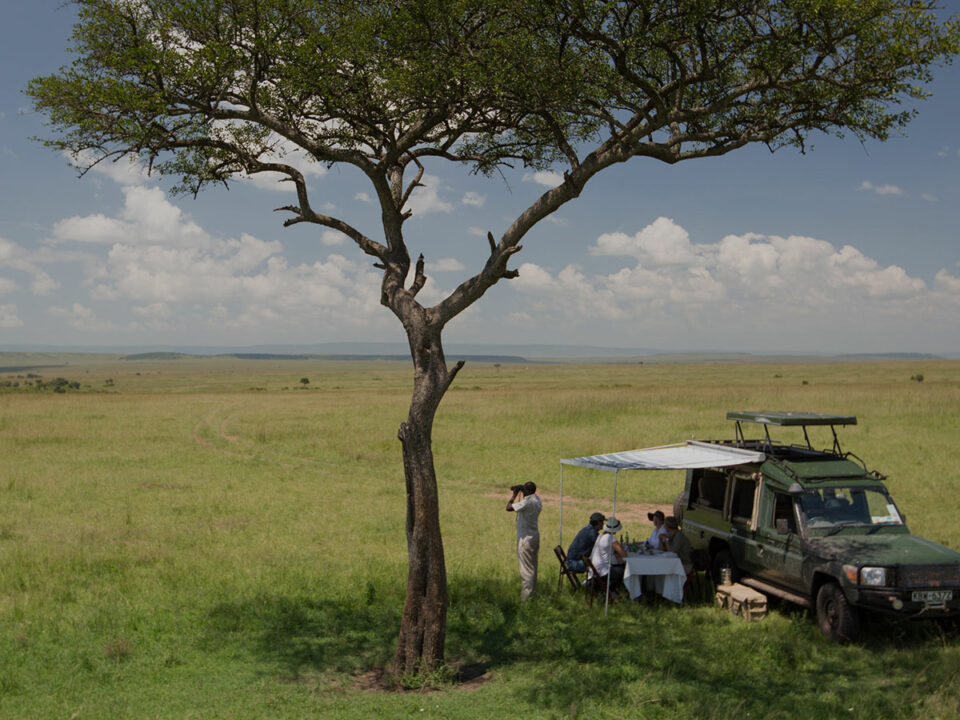 Luxury Kenya Safari