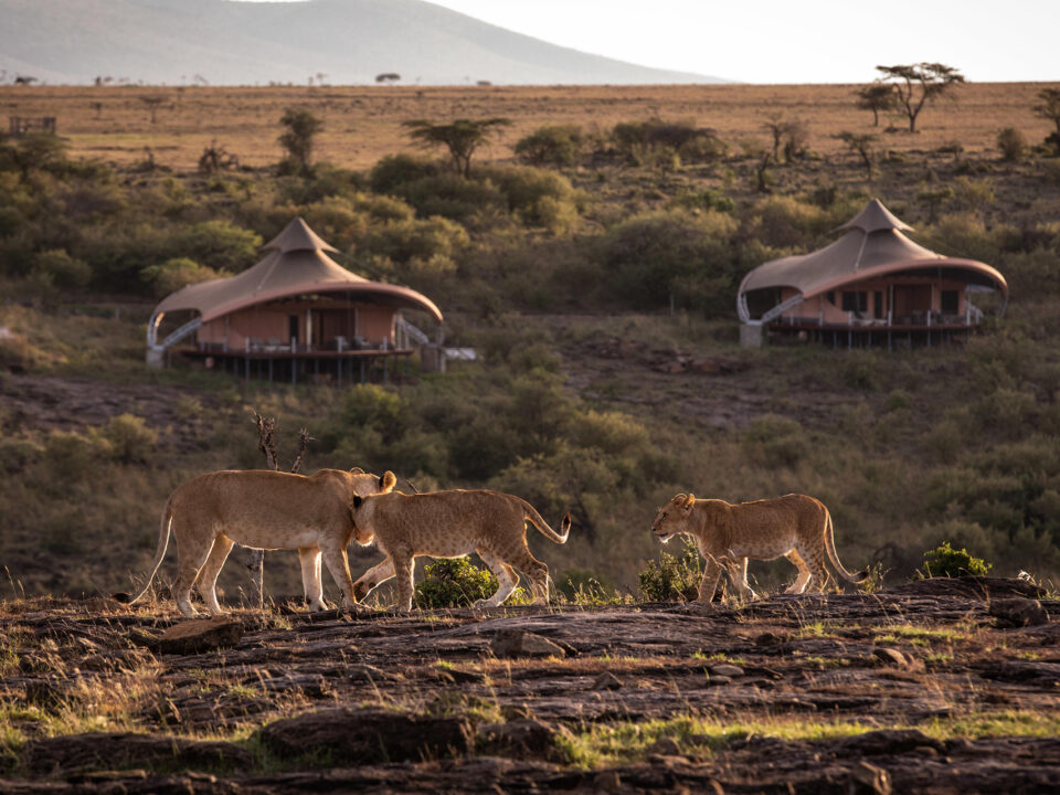 Mahali Mzuri: Kenya is one of the masai mara safari lodges