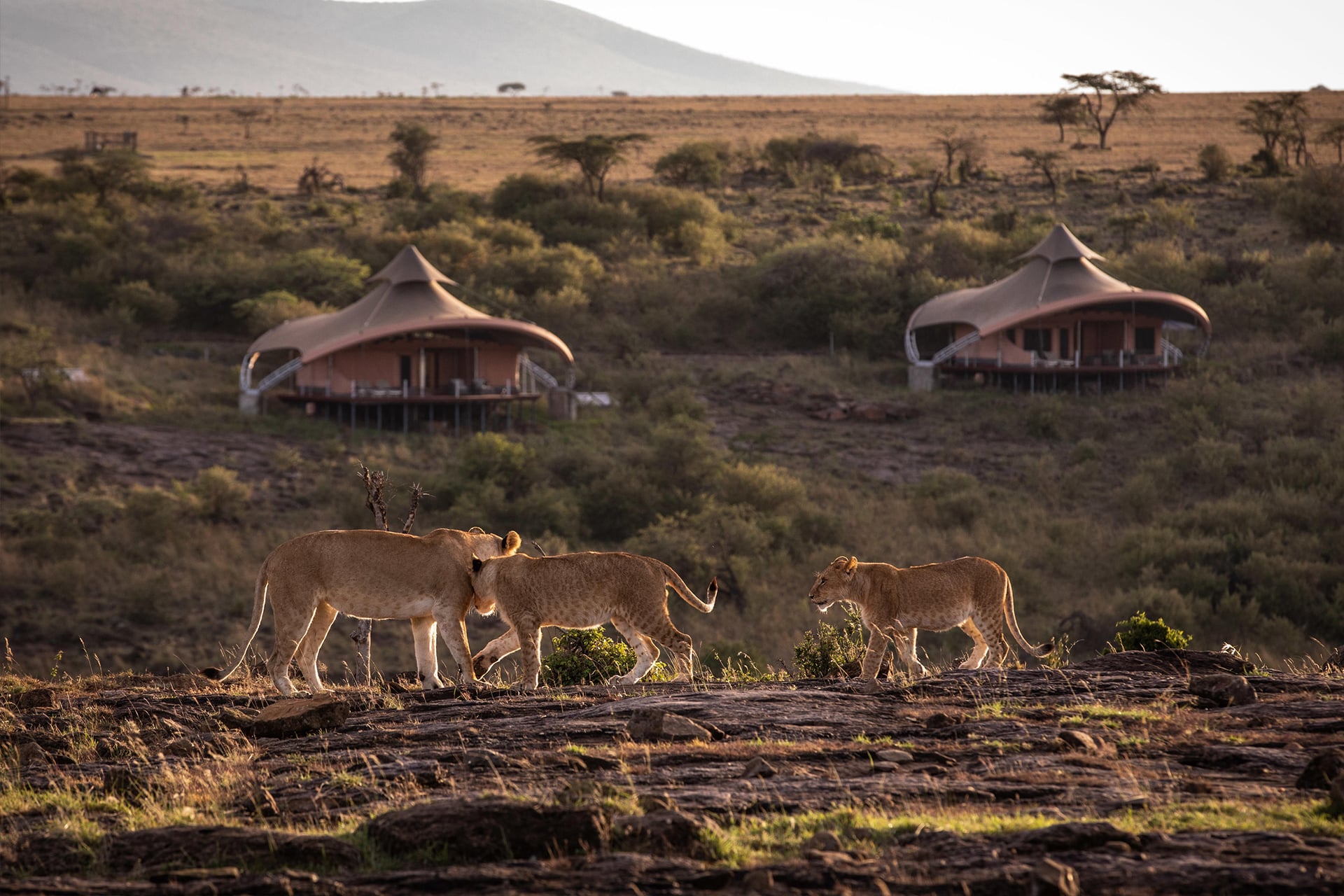 Mahali Mzuri: Kenya is one of the masai mara safari lodges