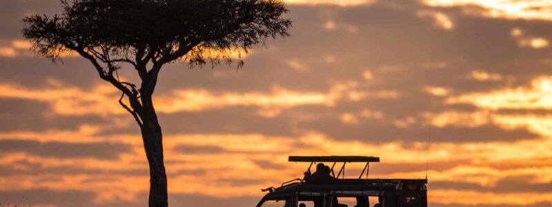 Luxury Kenya Safari Sunset Game Drive