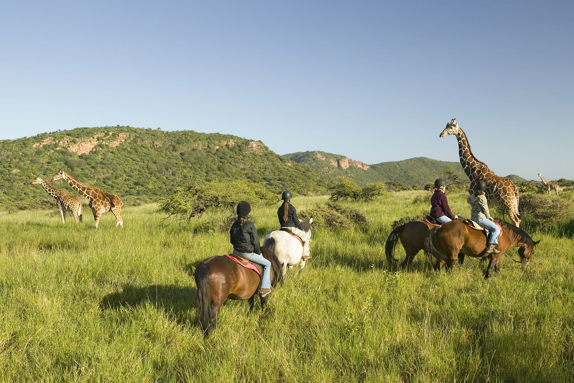 luxury family safaris