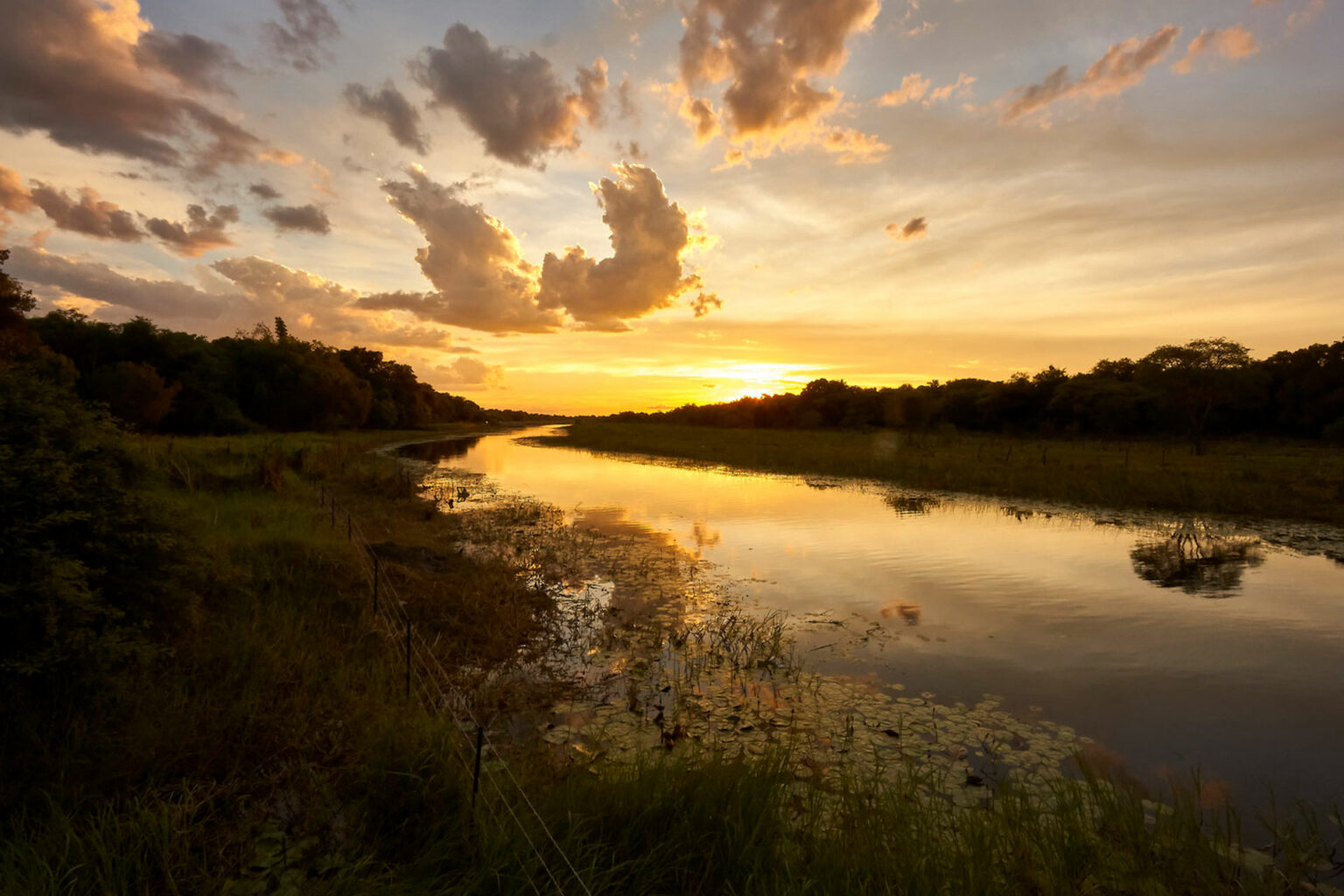 Things to do in Maun | Botswana Safari | Ker Downey Africa