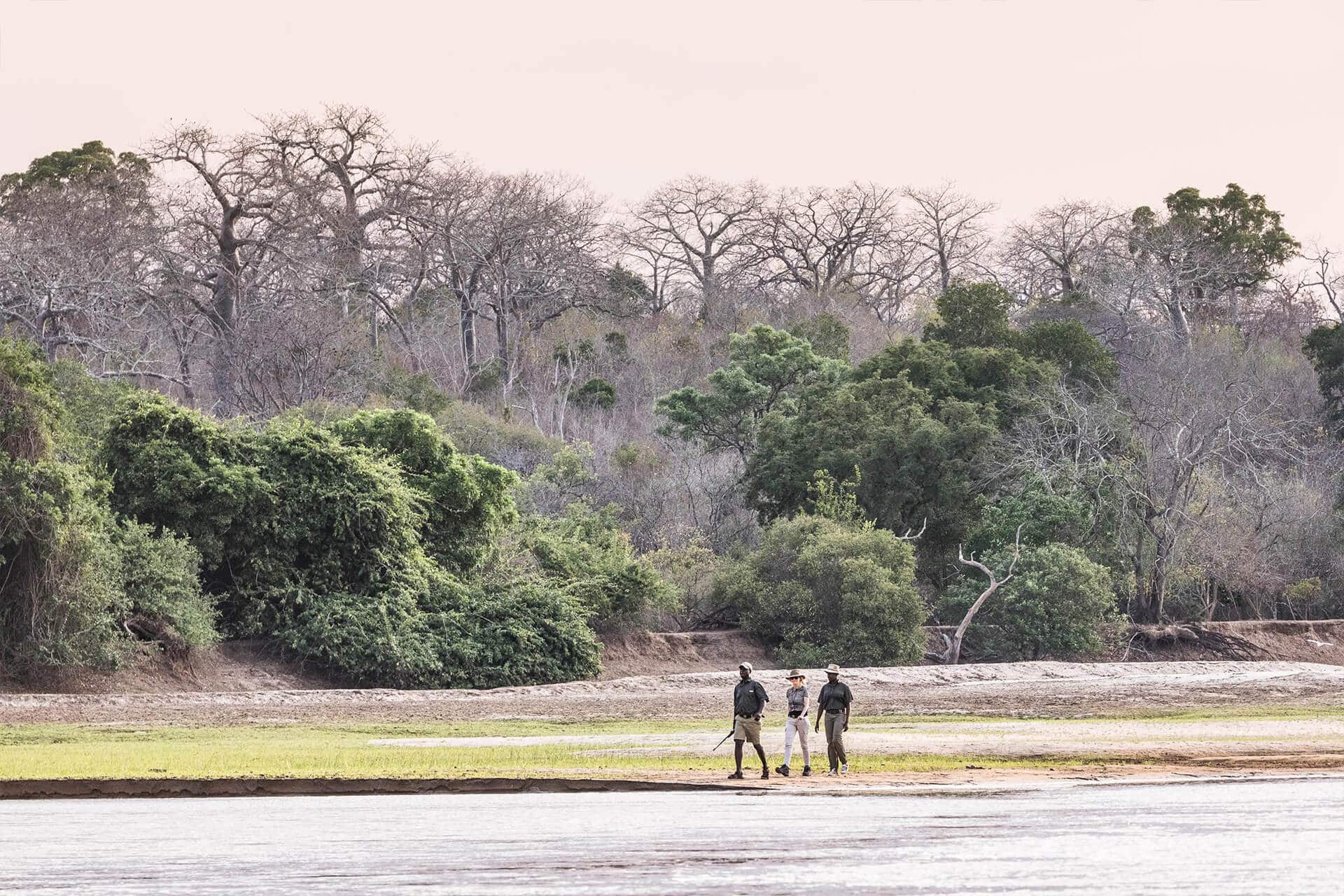 walking safaris