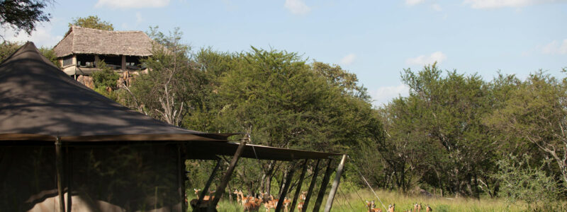 Elewana-Serengeti-Pioneer-Camp_3