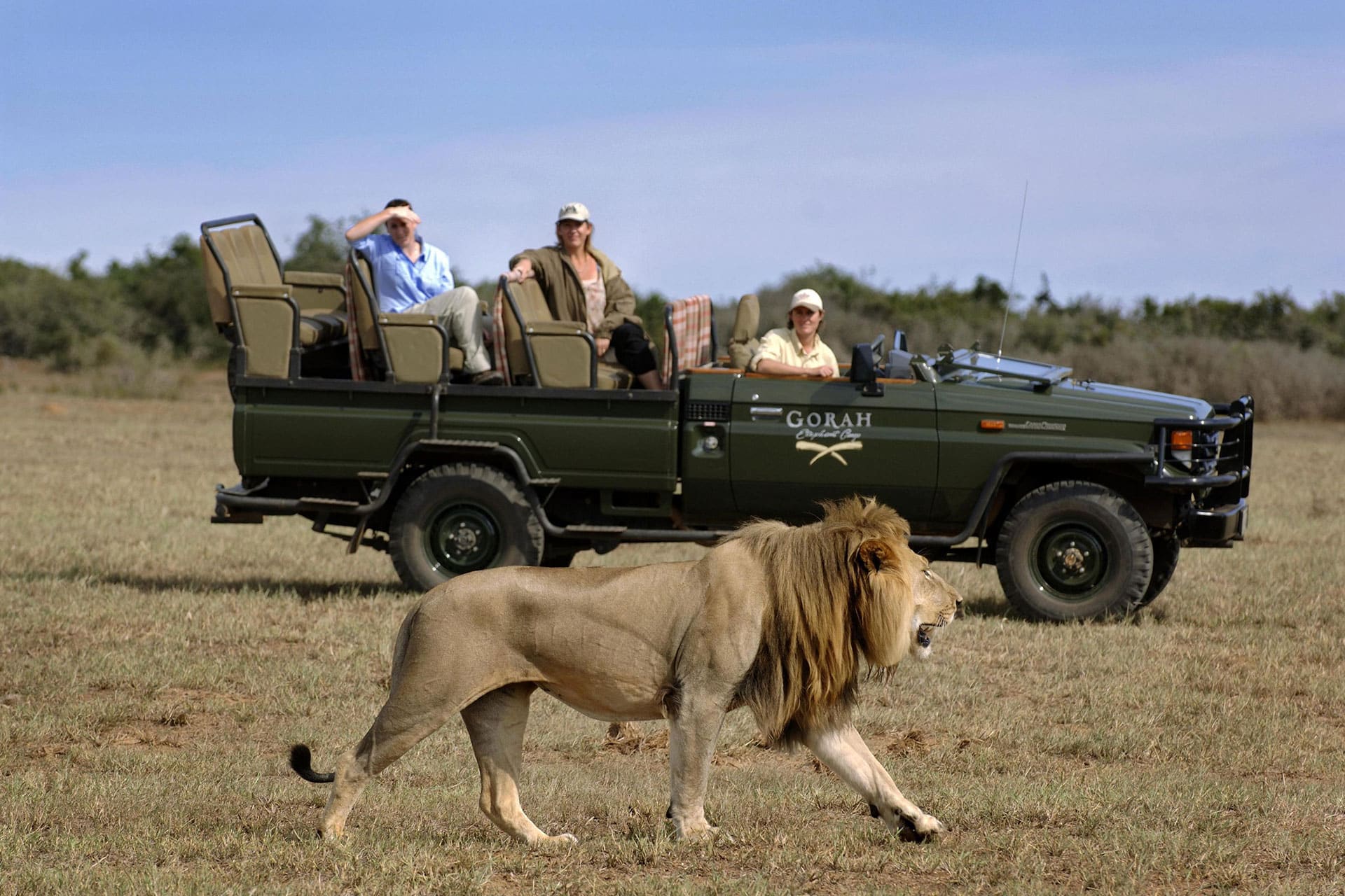 Guided game drive at Gorah Elephant Park - one of the lodges that has a malaria-free safari in south africa