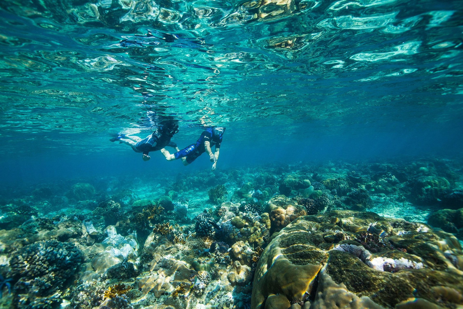 Snorkeling in a protected marine reserve off one of the private islands in Africa