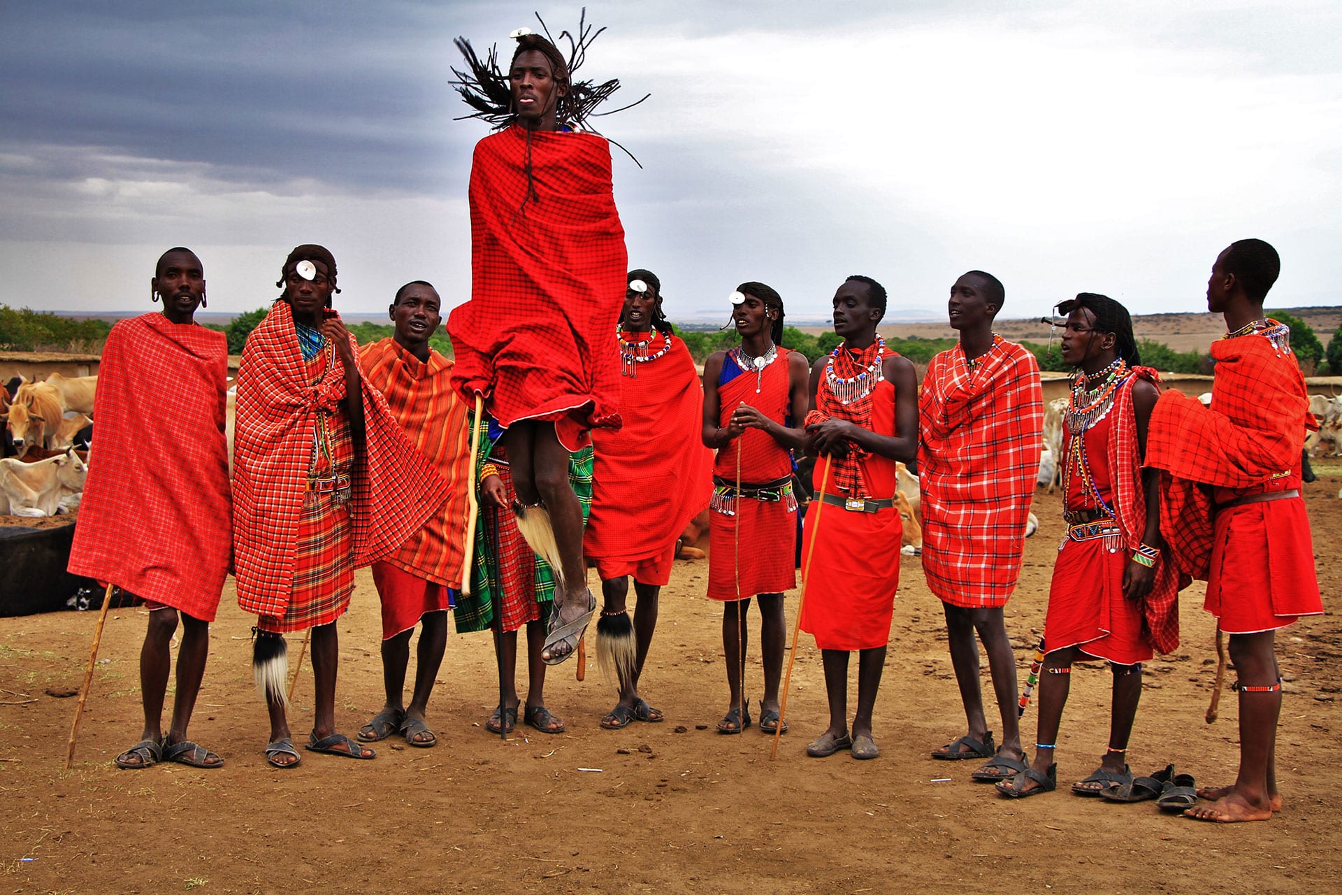 A maasai of East Africa performing the Adumu dance