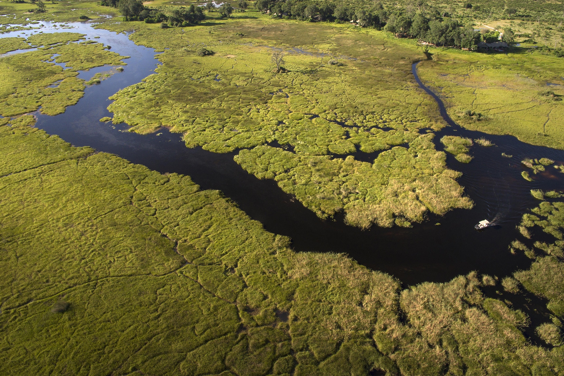 photographic safaris